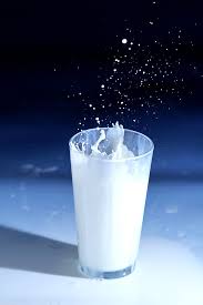 EXTRA DE LECHE DESCREMADA B